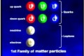 Partículas Elementares (1ª família)